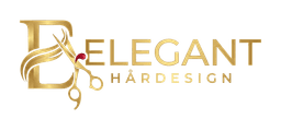 Elegant Hårdesign